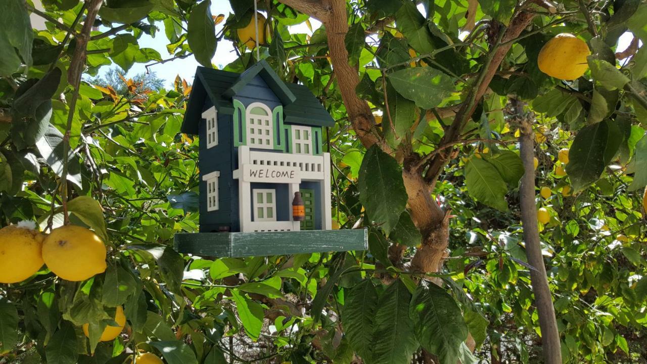 Casa Vacanze Darena Tortoreto Kültér fotó
